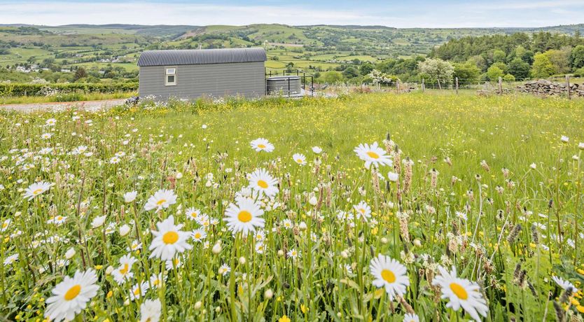 Photo of 1 Bed in Llangadfan