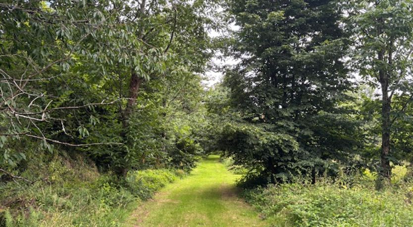 Photo of 3 Bed in Truro