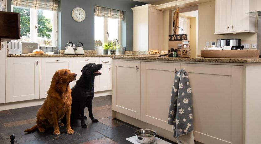 Photo of 5 Bed in North Sunderland