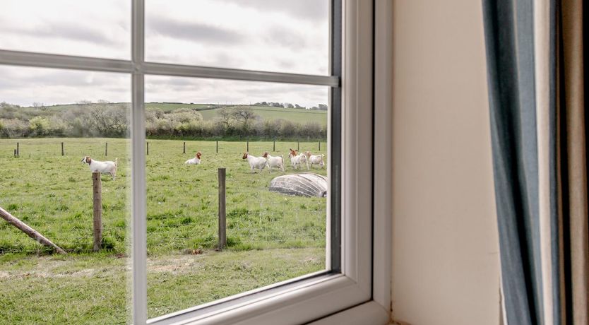 Photo of 2 Bed in Red Roses