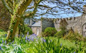 Photo of 1 Bed in Pendeen