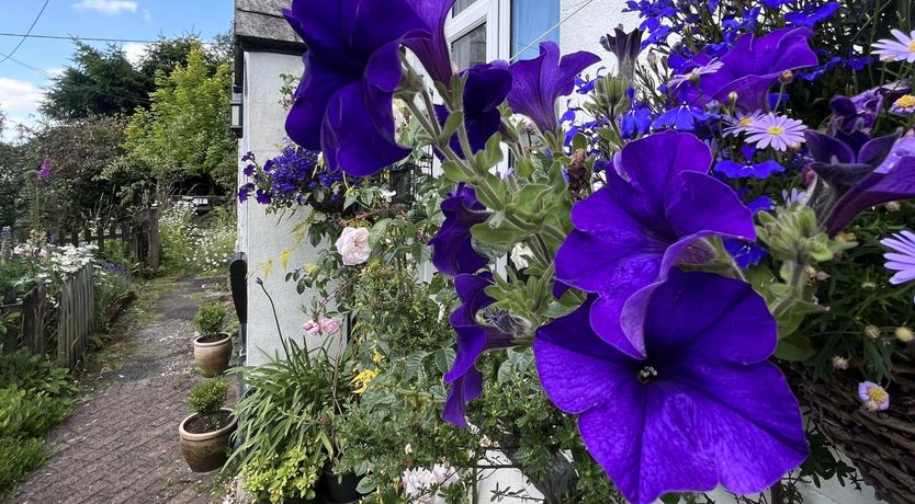 Photo of 2 Bed in Tavistock