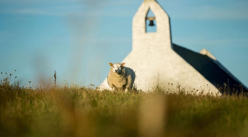 Photo of 4 Bed in Talgarreg