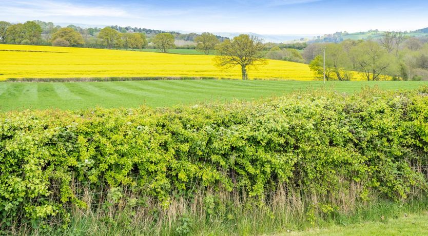 Photo of 1 Bed in Brecon