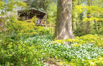 1 Bed in Milton Abbas Holiday Home