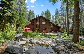 Photo of below-the-pines