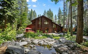 Photo of Below the Pines