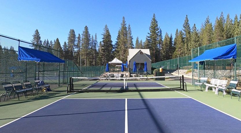 Photo of Below the&nbsp;Pines