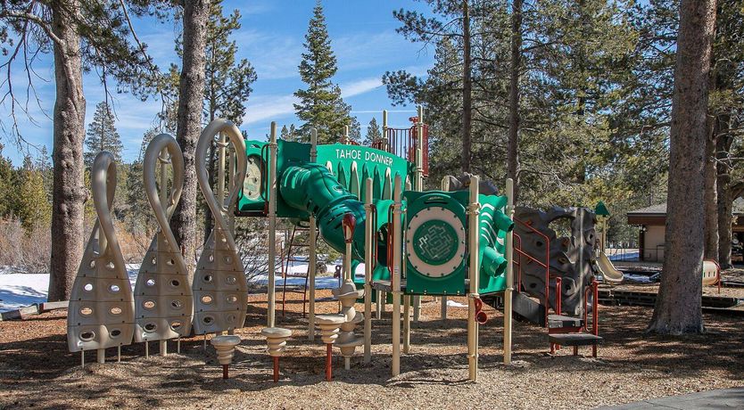 Photo of Timber and Sky