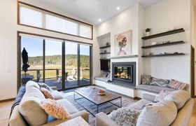 Photo of timber-and-sky