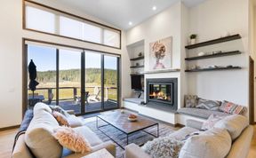 Photo of Timber and Sky