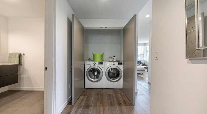 Photo of Towering Pines