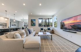 Photo of towering-pines