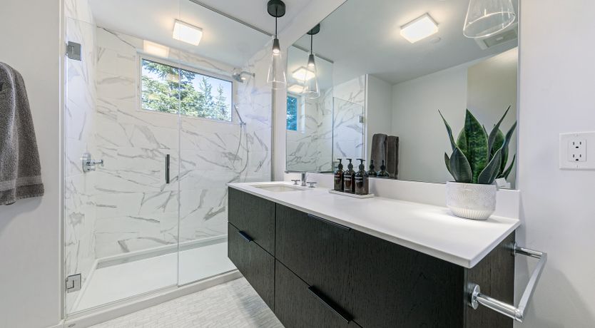 Photo of Towering Pines