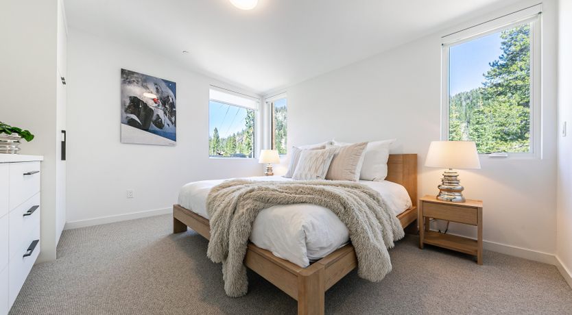 Photo of Towering Pines