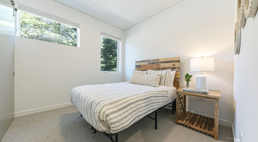 Photo of Towering Pines