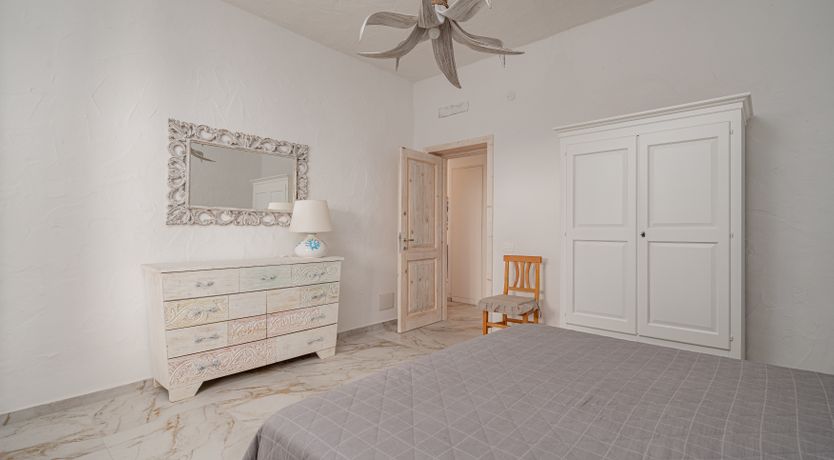 Photo of Seashell Sun