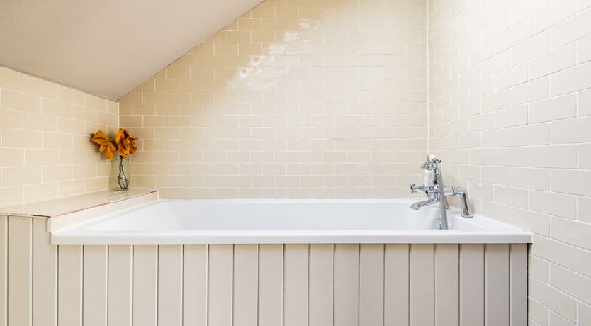 Photo of Artistic Appeal