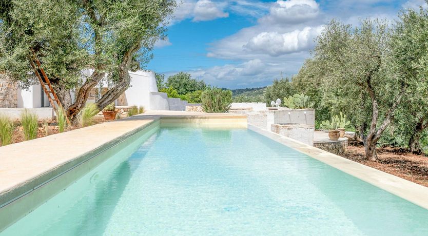 Photo of White Orchard