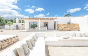 Photo of white-orchard