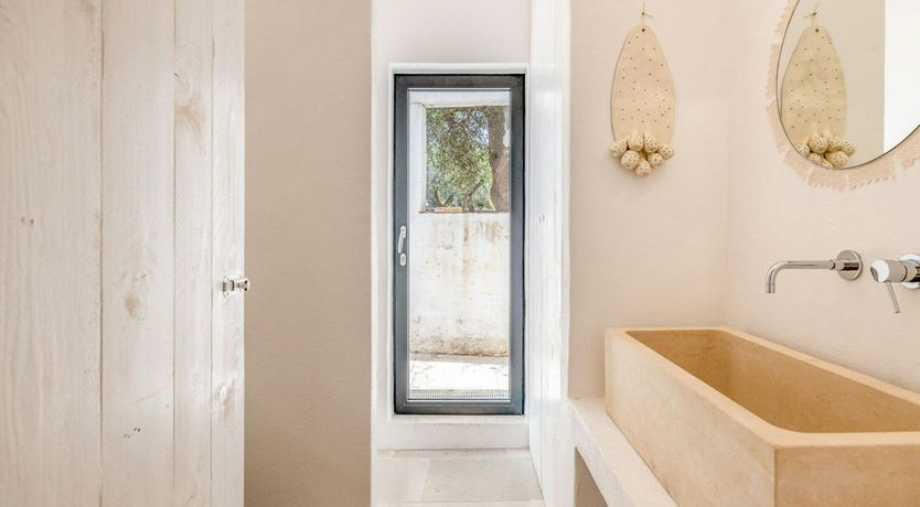 Photo of White Orchard