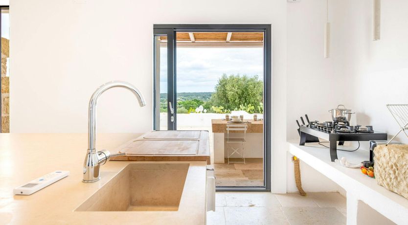 Photo of White Orchard