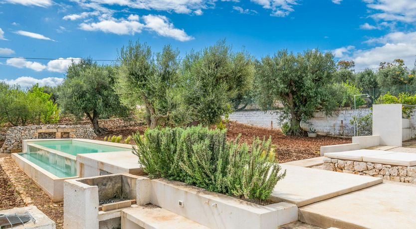 Photo of White Orchard