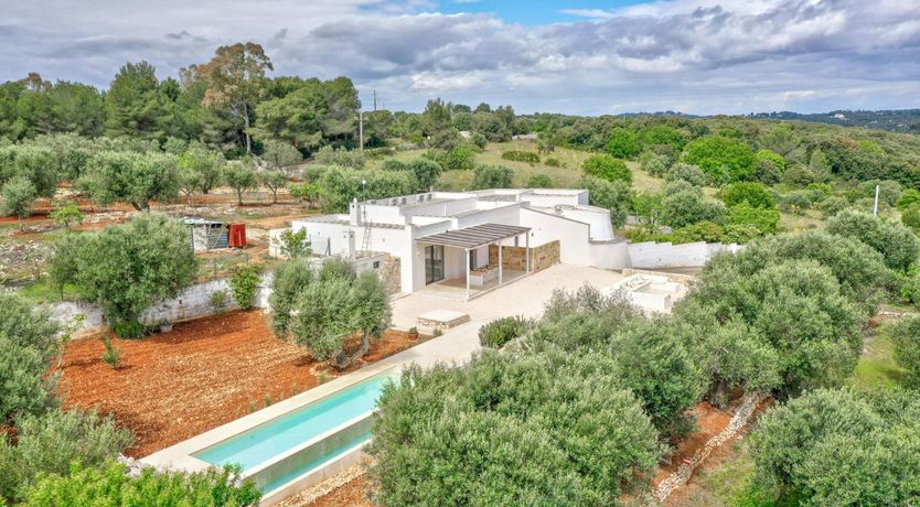 Photo of White Orchard