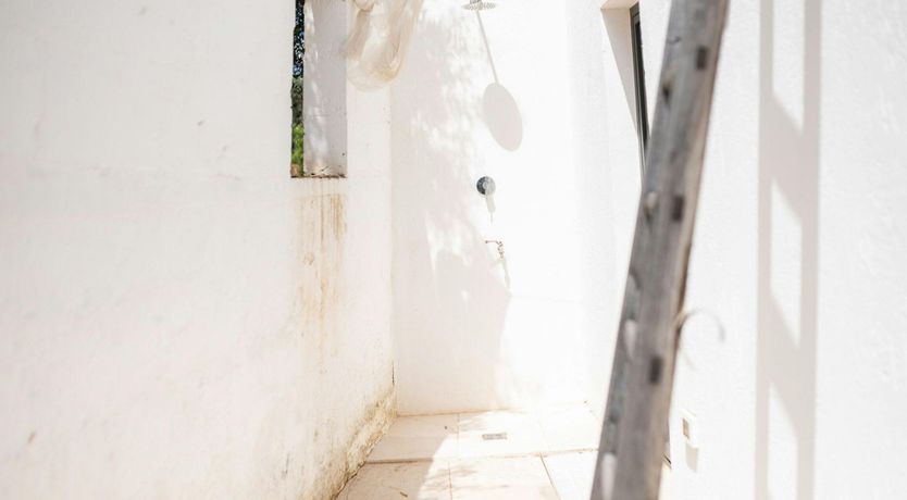 Photo of White Orchard