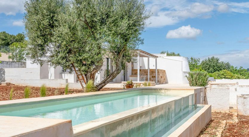 Photo of White Orchard