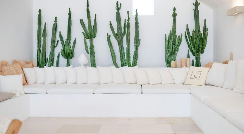 Photo of White Orchard