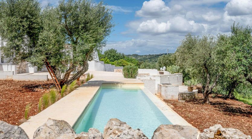 Photo of White Orchard