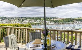 Photo of River Dart Dream