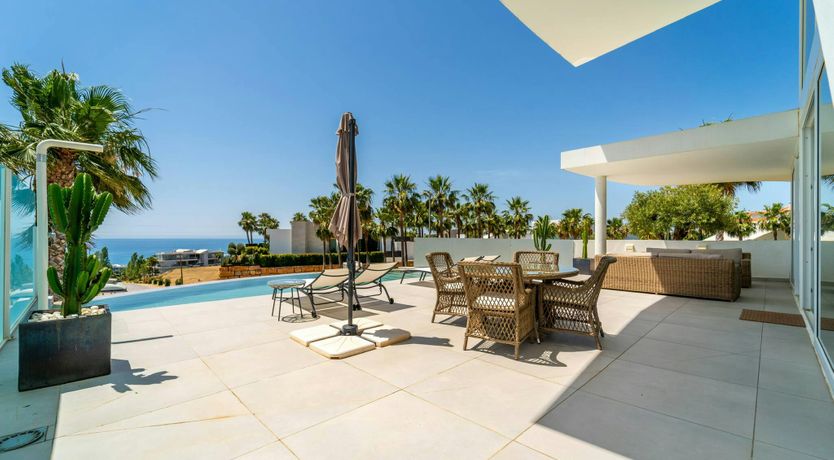 Photo of The Violeta