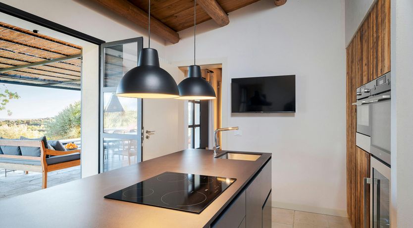 Photo of Citrus Orchard