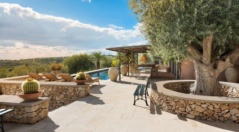 Photo of Citrus Orchard