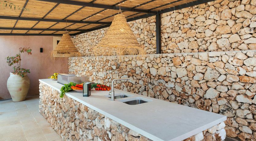 Photo of Citrus Orchard