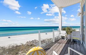 Photo of birds-eye-beachside