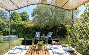 Photo of Verdant Serene