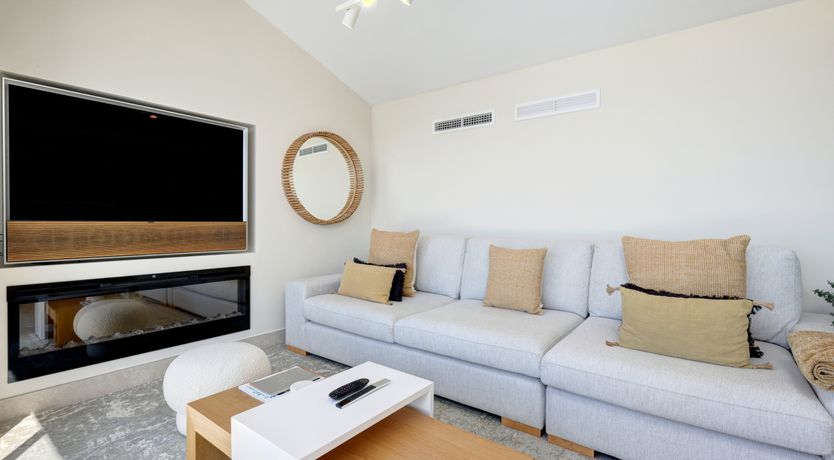 Photo of Sun's Delight