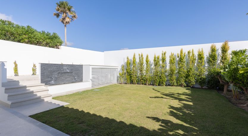 Photo of Sun's Delight