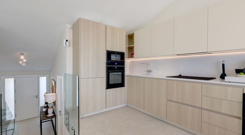 Photo of Sun's Delight