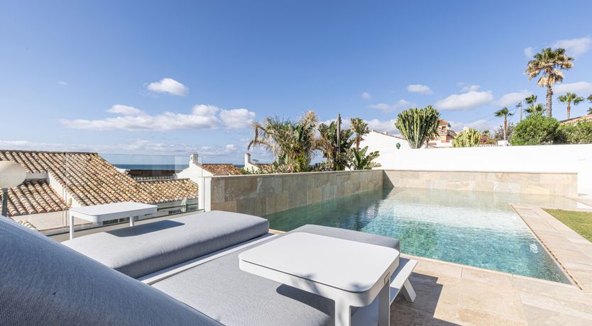 Photo of Sun's Delight