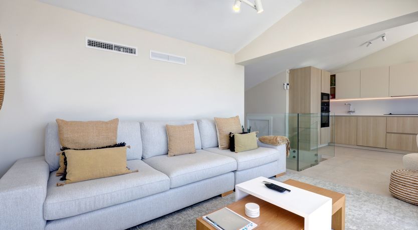 Photo of Sun's Delight