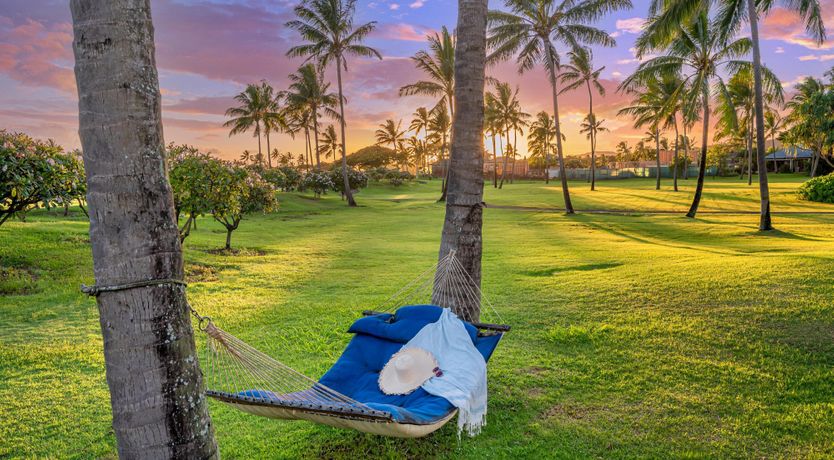 Photo of Palm View Retreat