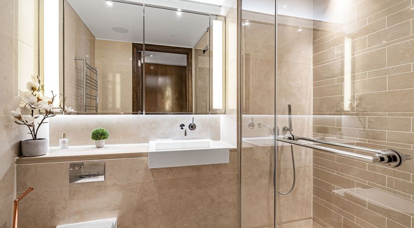 Photo of The Bright Beyond