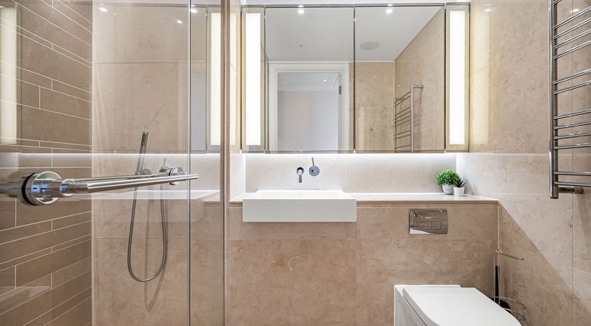 Photo of The Bright Beyond