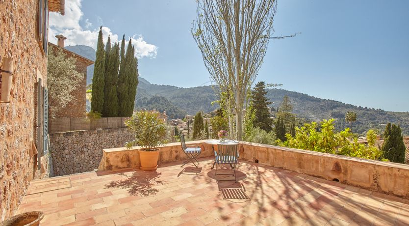 Photo of Swooning in the Sun