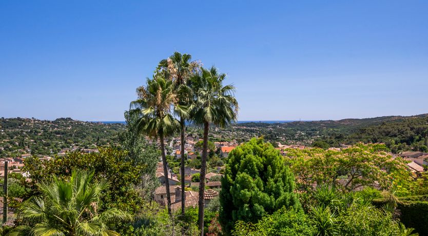 Photo of Olive and Sea