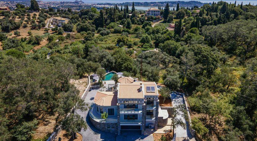 Photo of Ancient Olives & Mountains